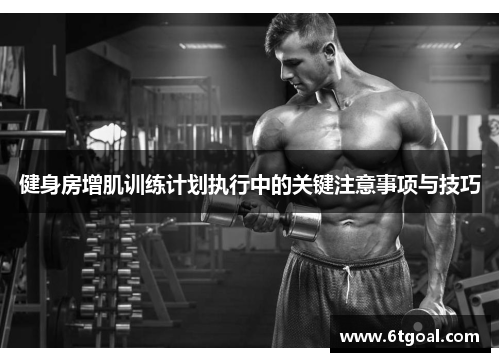 健身房增肌训练计划执行中的关键注意事项与技巧